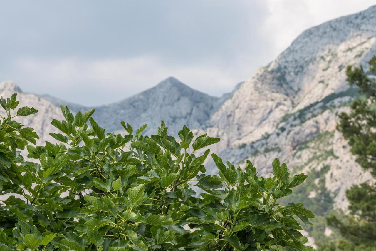 Apartment Strawberry Makarska Eksteriør billede